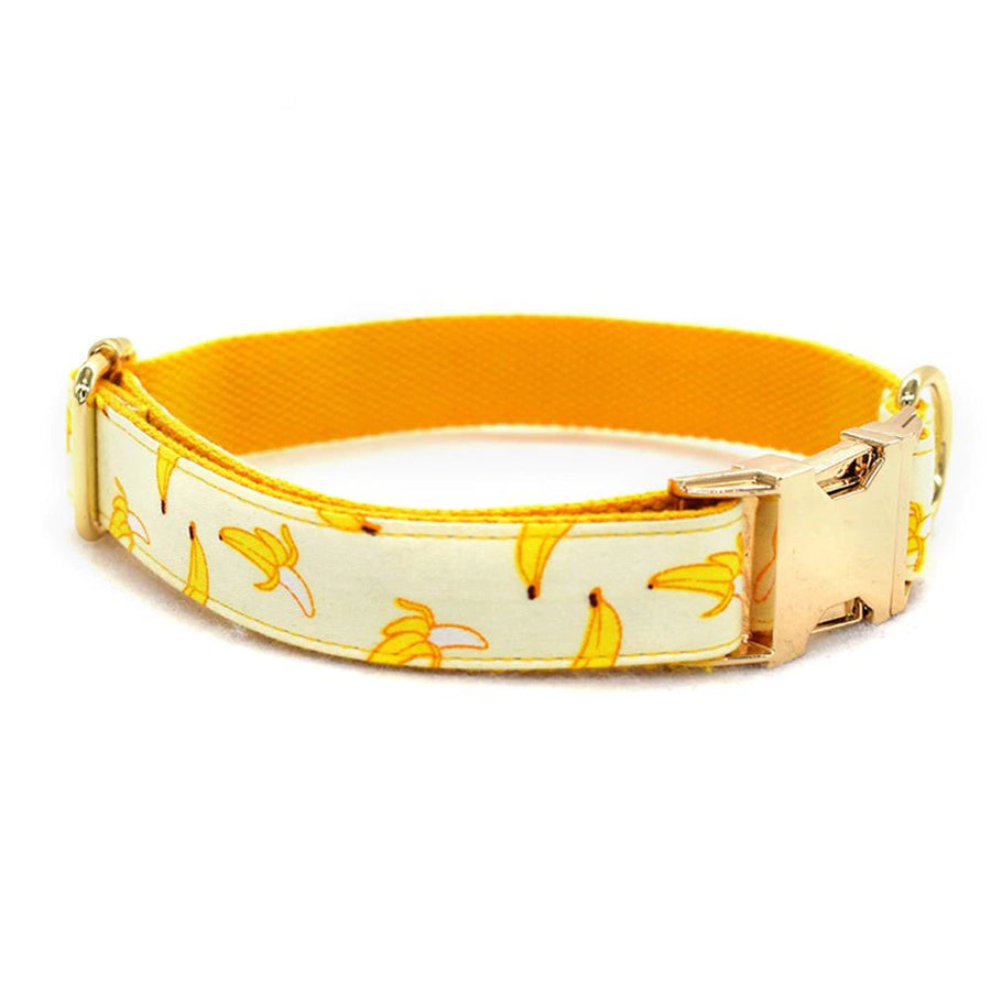 The Banana Pet Collar And Leash