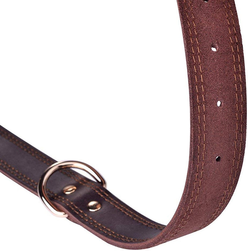 Quality Genuine Leather Dog Collar