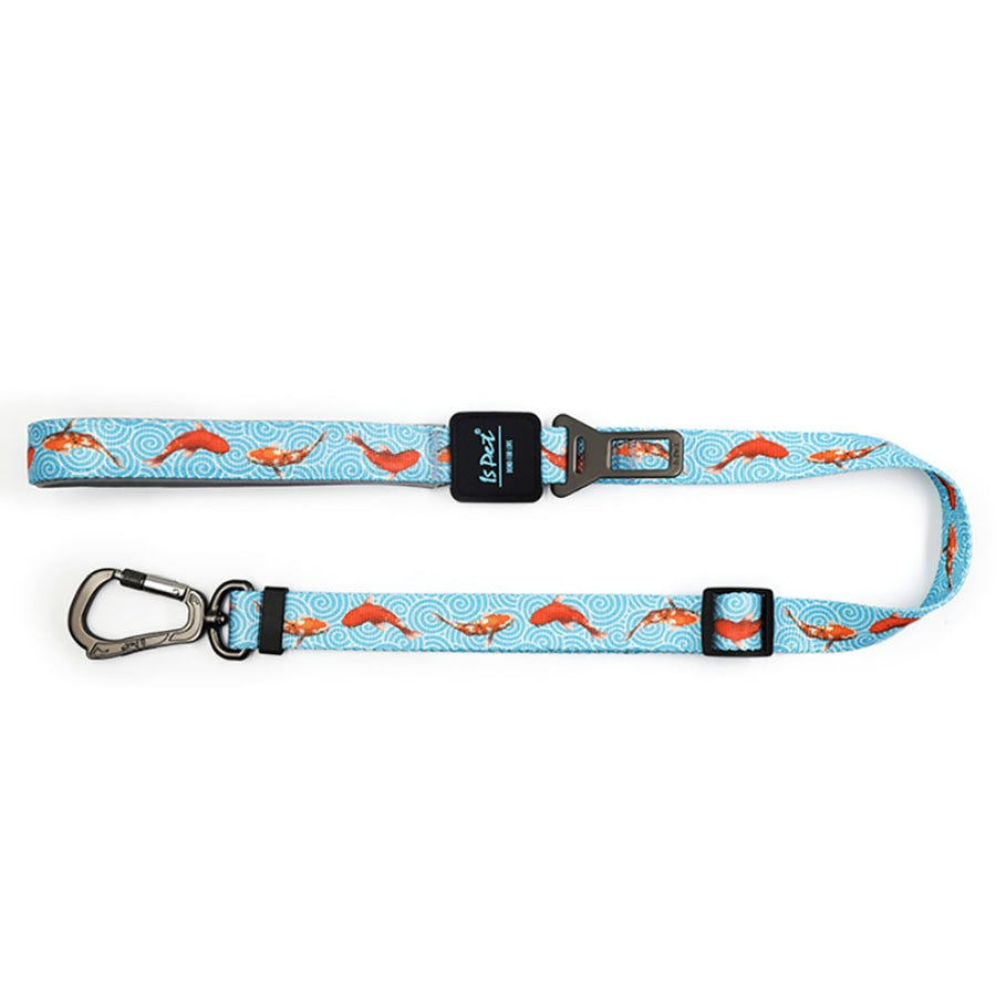 2 In 1 Dog Vehicle Leash