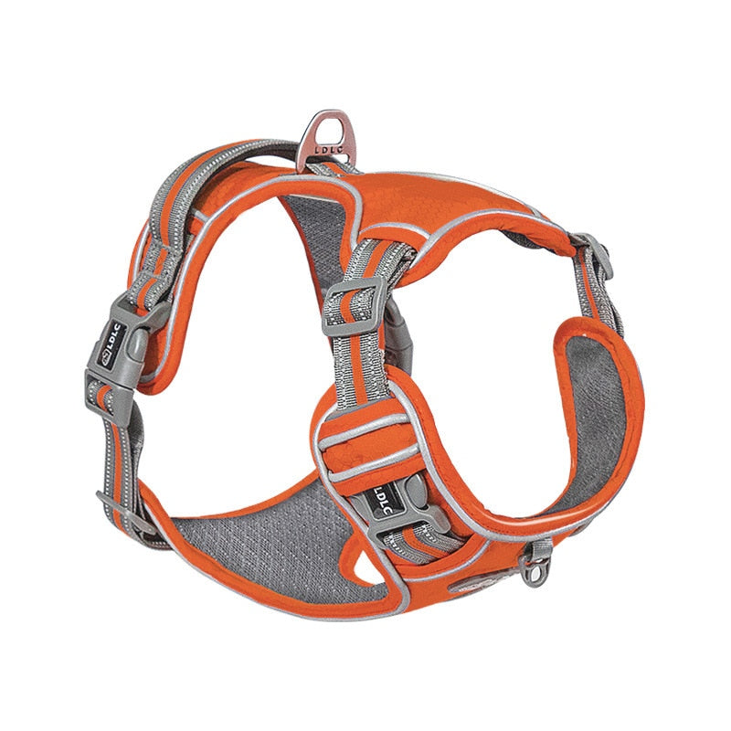 The Hornets Oxford Dog Harness