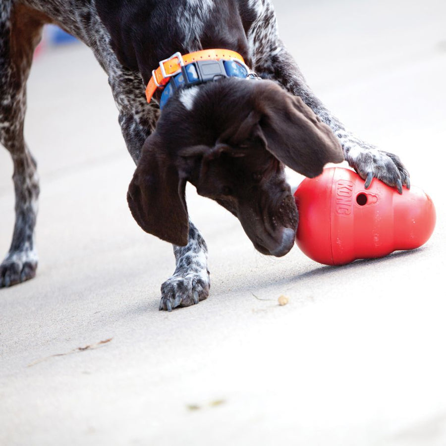 The Wobbler Dog Toy