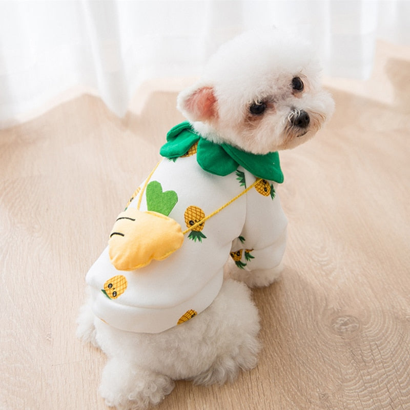 Autumn Pineapple Cute Dog Sweater