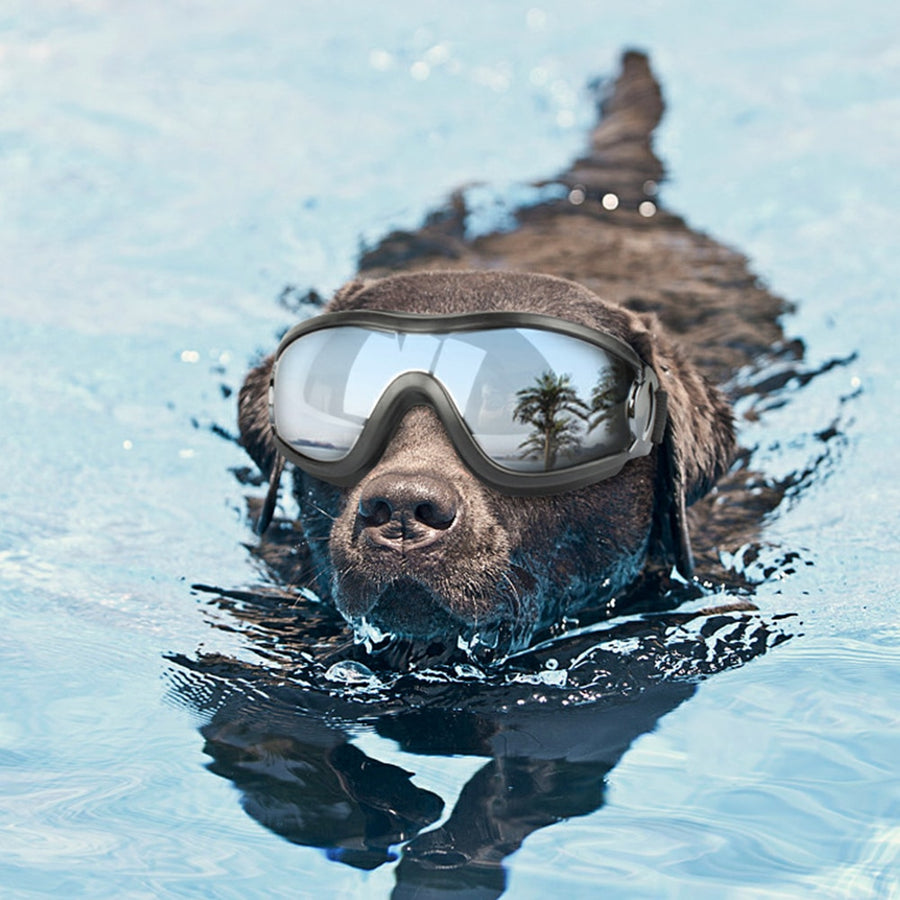 Cool UV Protection Dog Goggles