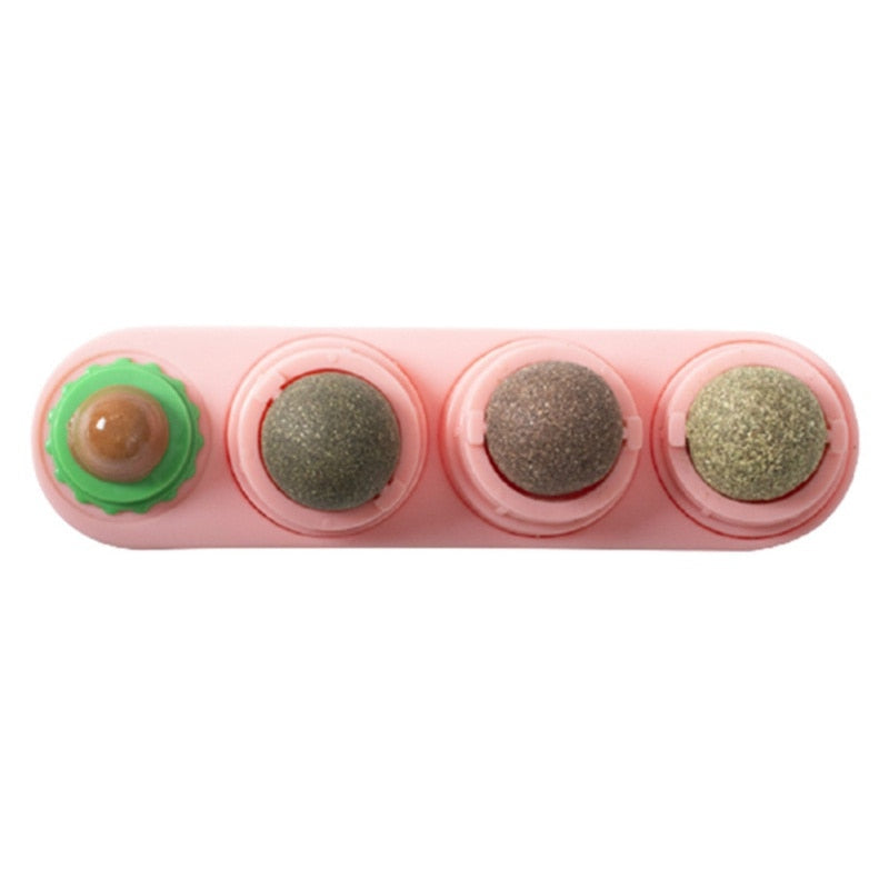 Pet Cat Catnip Wall Ball Toy