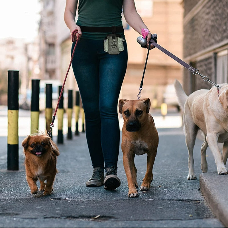 Waistband Waterproof Dog Treat Pouch