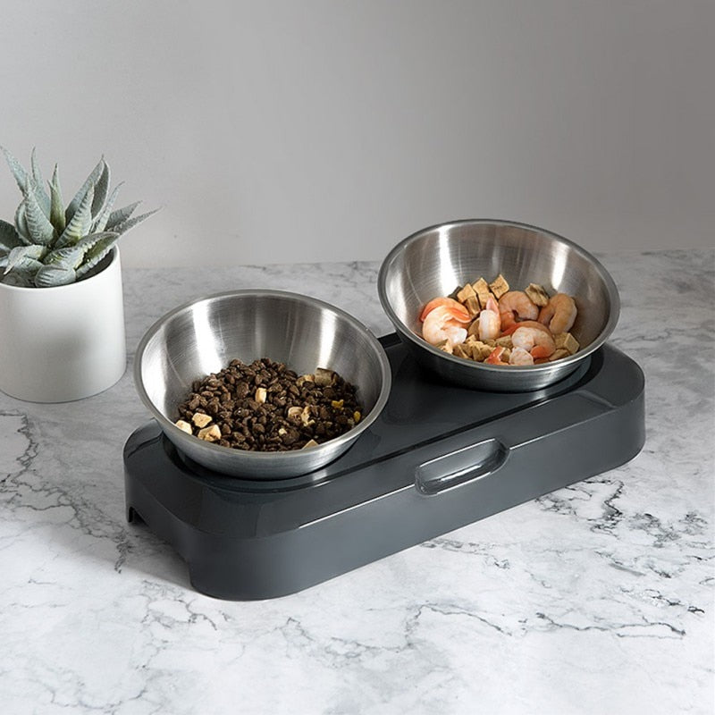 Stainless Steel Nano 15° Pet Double Bowl