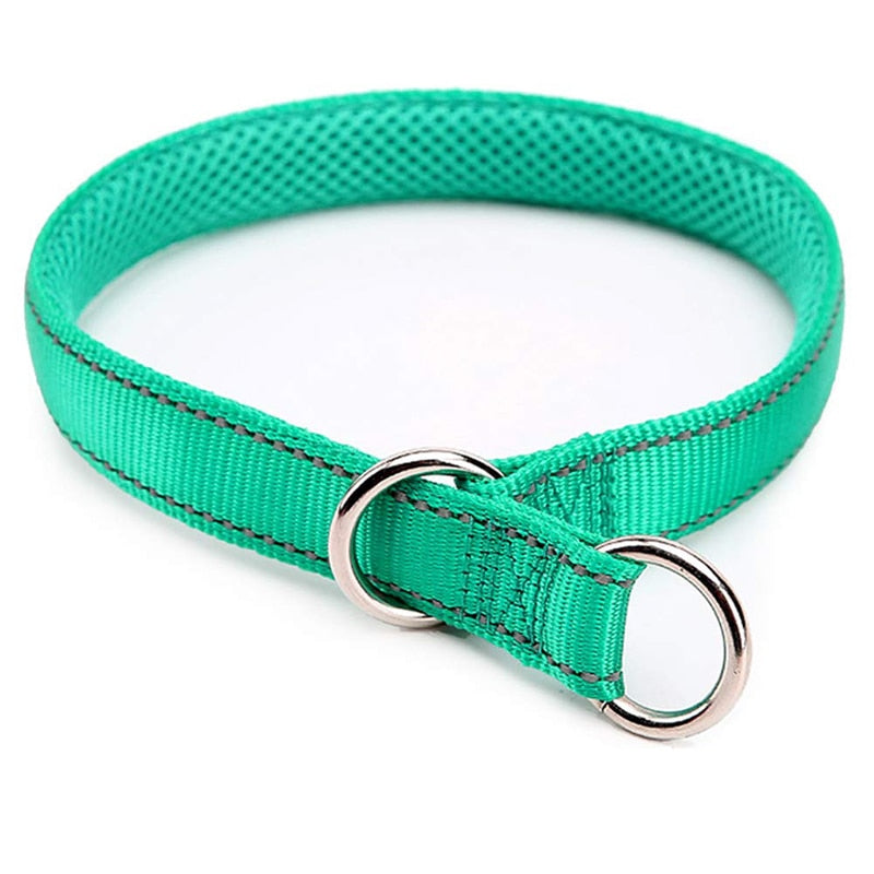 Premium Nylon Strap Dog Collar