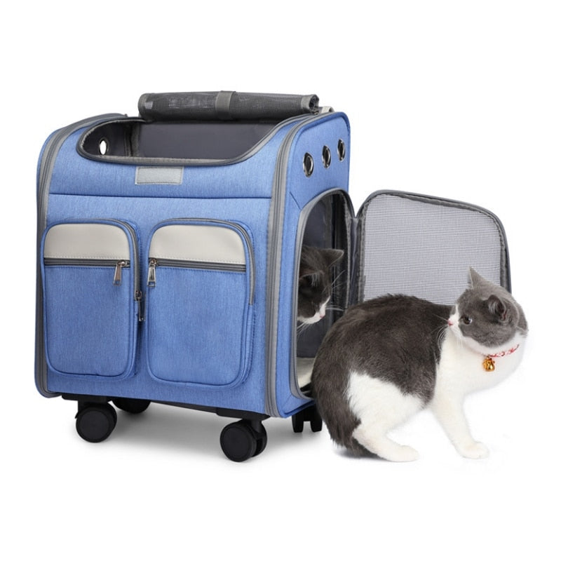 Outdoor Pet Blue Stroller Backpack