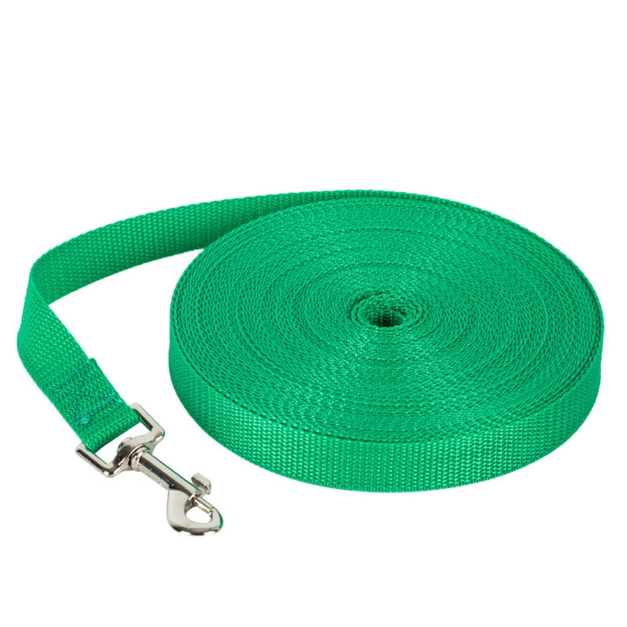 Outdoor Training Running Dog Leash