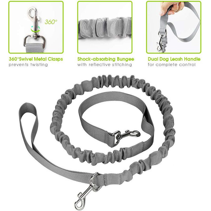 Handsfree Dog Leash With Two Storage Bags