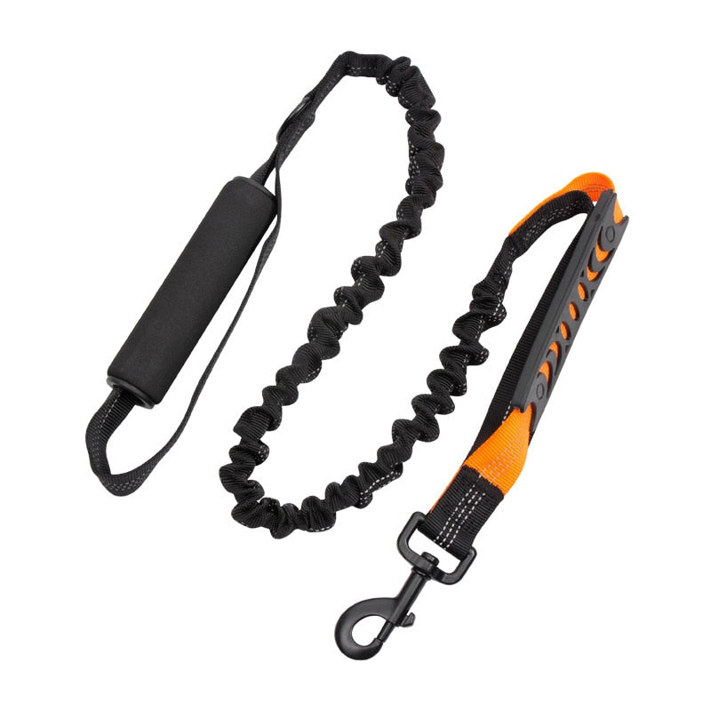 Short Distance Control Bungee Dog Leash