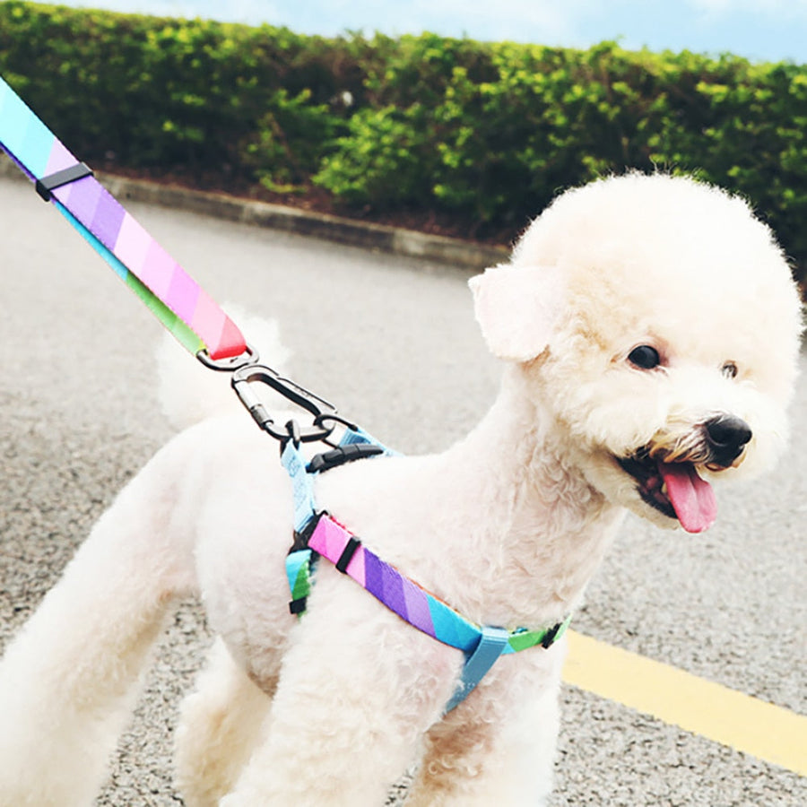 Colorful Easy Control Dog Harness