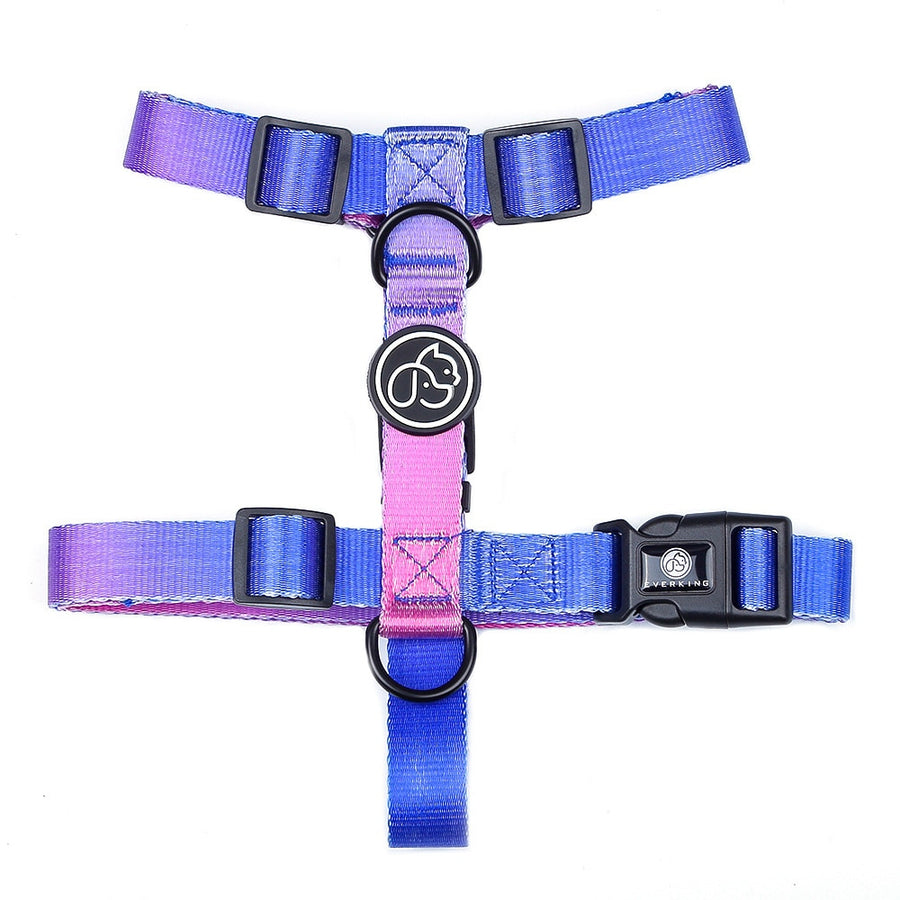 Gradient Dog Harness And Leash Set