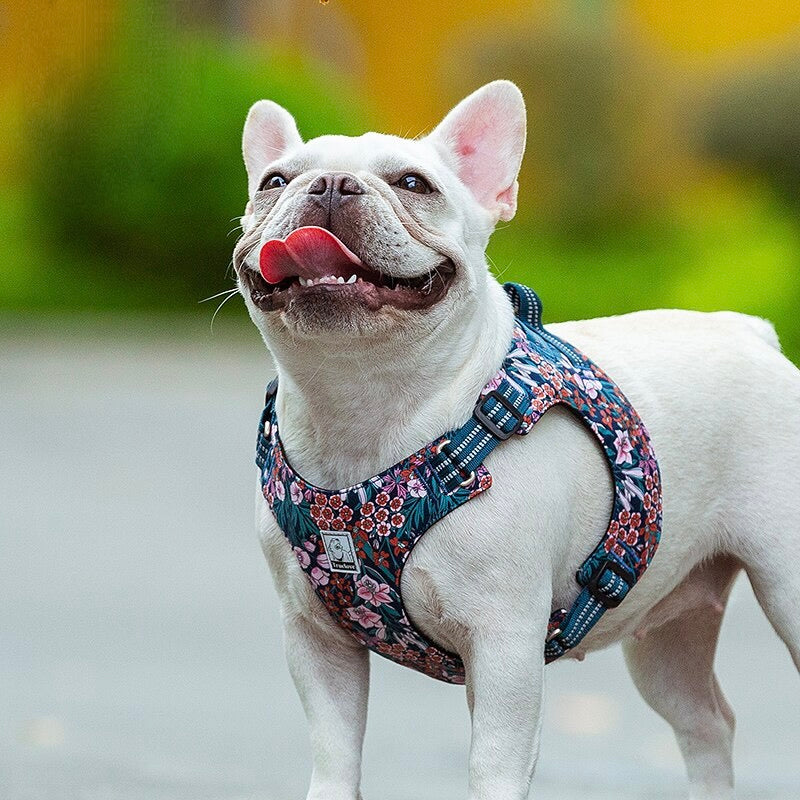 Floral Cotton Dog Vest Harness