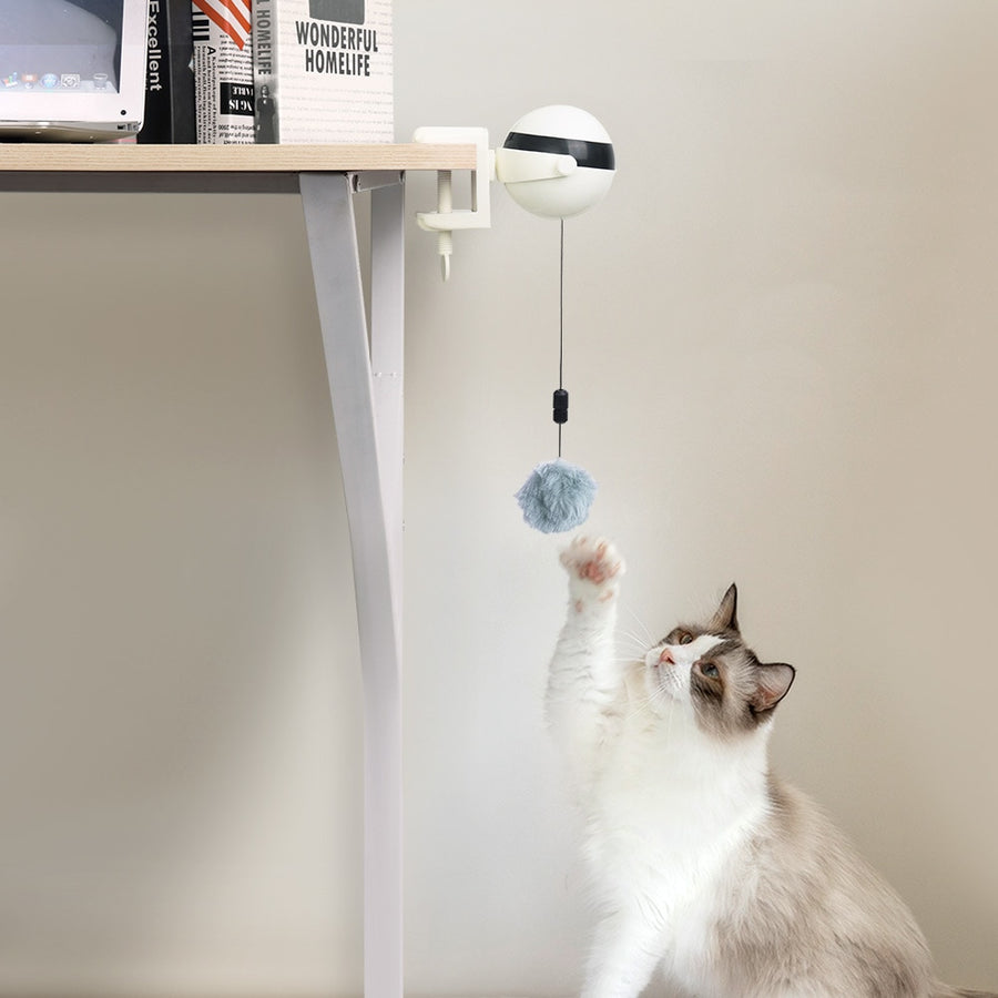 Automatic Interactive Cat Ball Toy