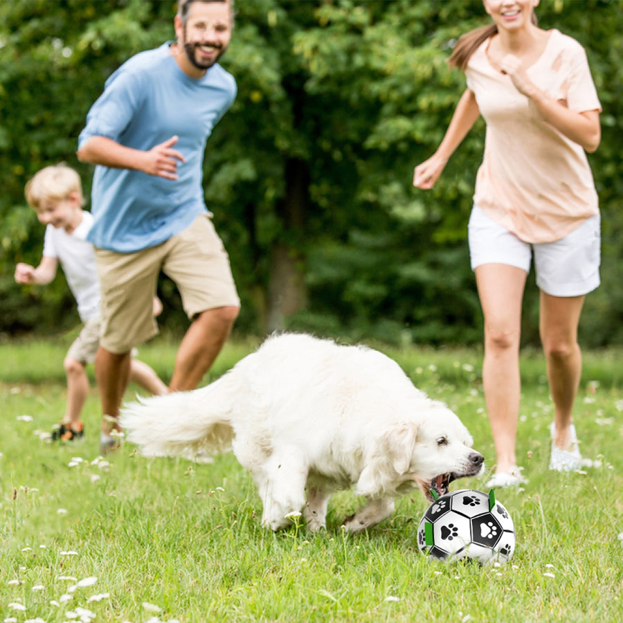 Interactive 6.5in Dog Soccer Toy Ball