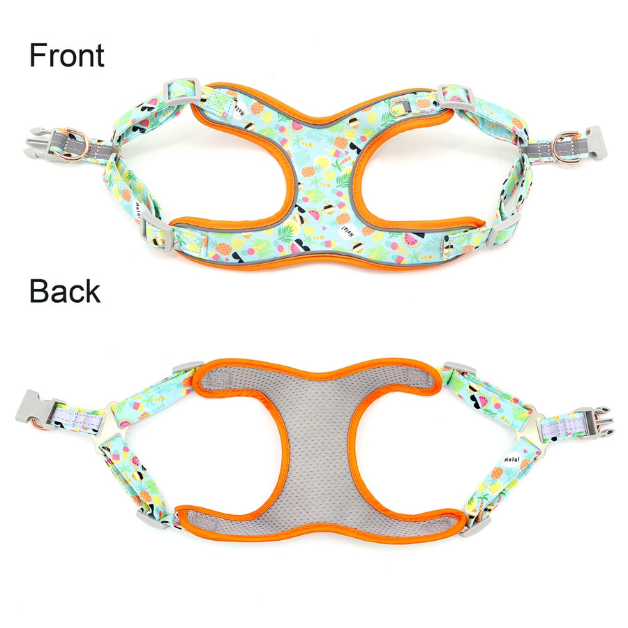 Sweet Candy Dog Harness Set