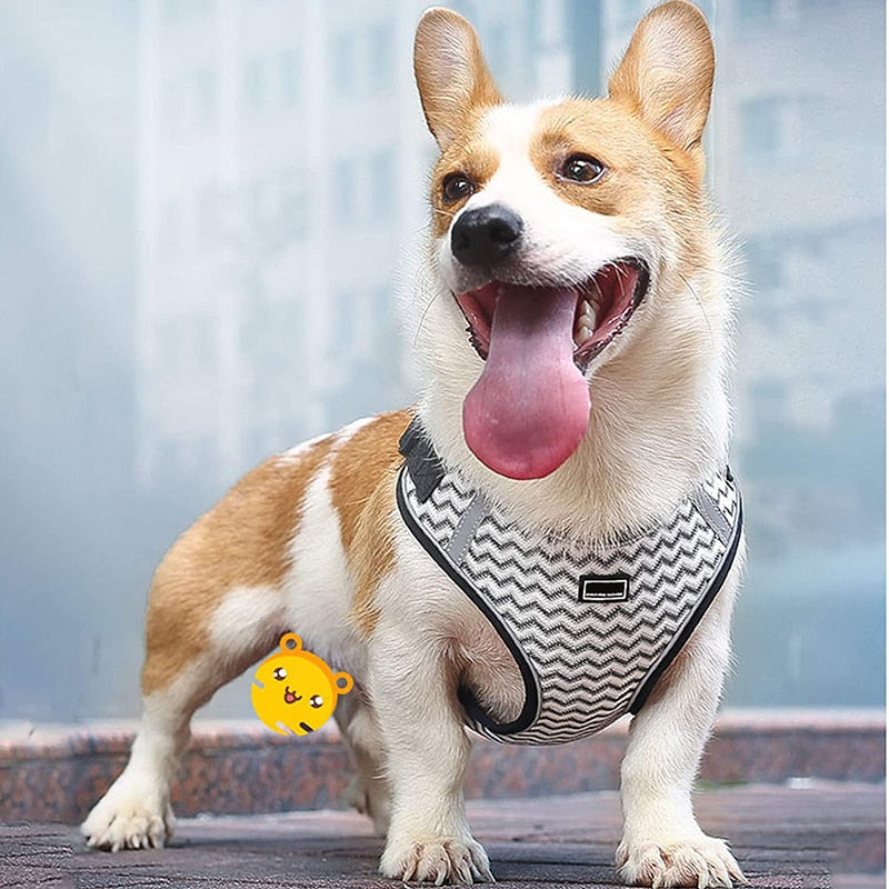 Breathable Mesh No Pull Dog Harness