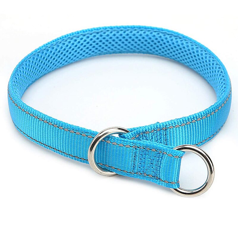 Premium Nylon Strap Dog Collar