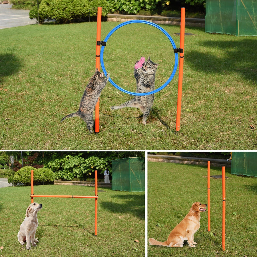 Dog Agility Training Equipment Set