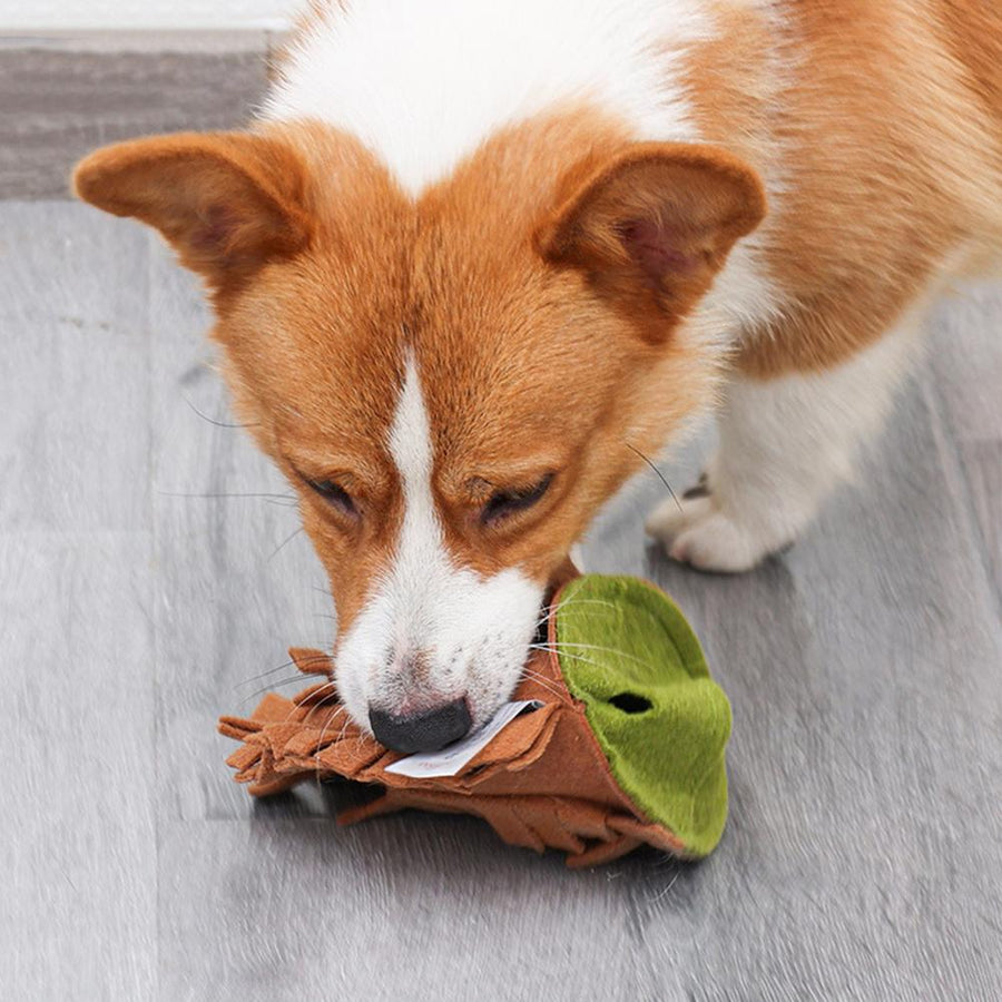 Nut Design Dog Snuffle Mat