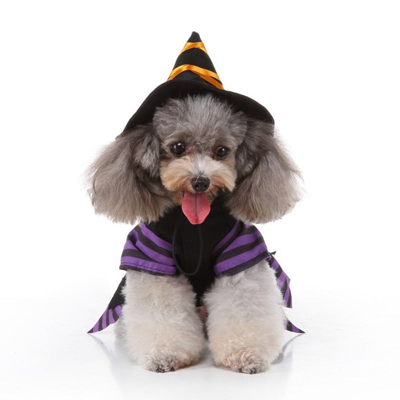 Halloween Funny Wizard Dog Costumes