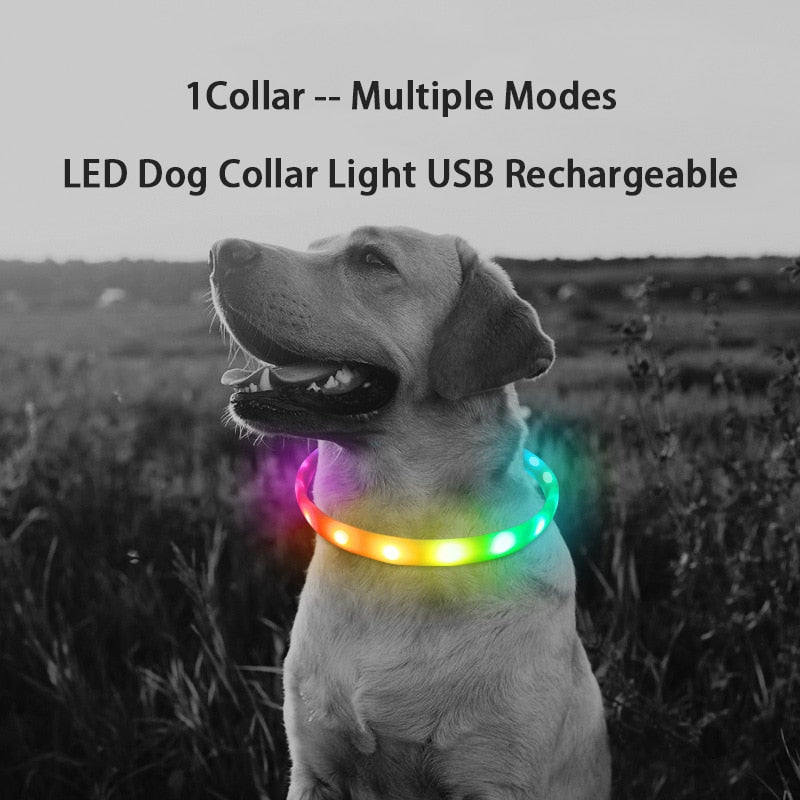 D-Buckle USB Rechargeable Dog Collar