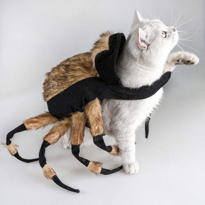 Funny Halloween Spider Dog Costumes