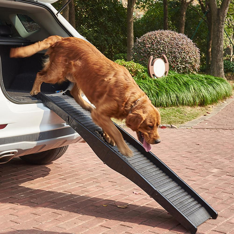 Lightweight Folding Pet Ramp