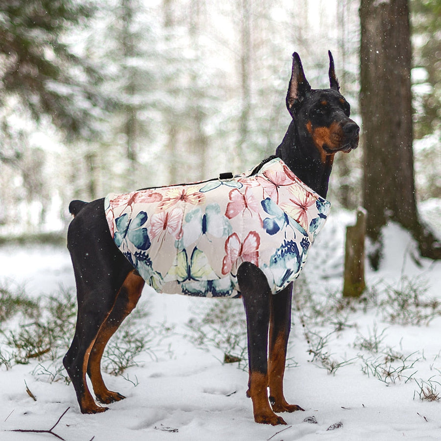 Butterfly Print Warm Dog Coat