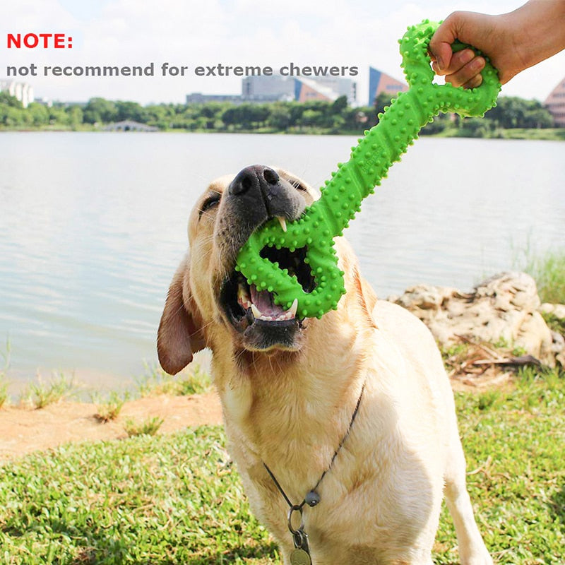 Safe Big Tooth Cleaning Pet Toys