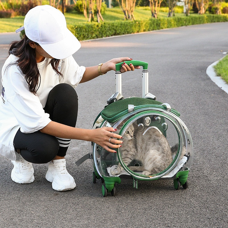 Wide View Pet Green Travel Bag