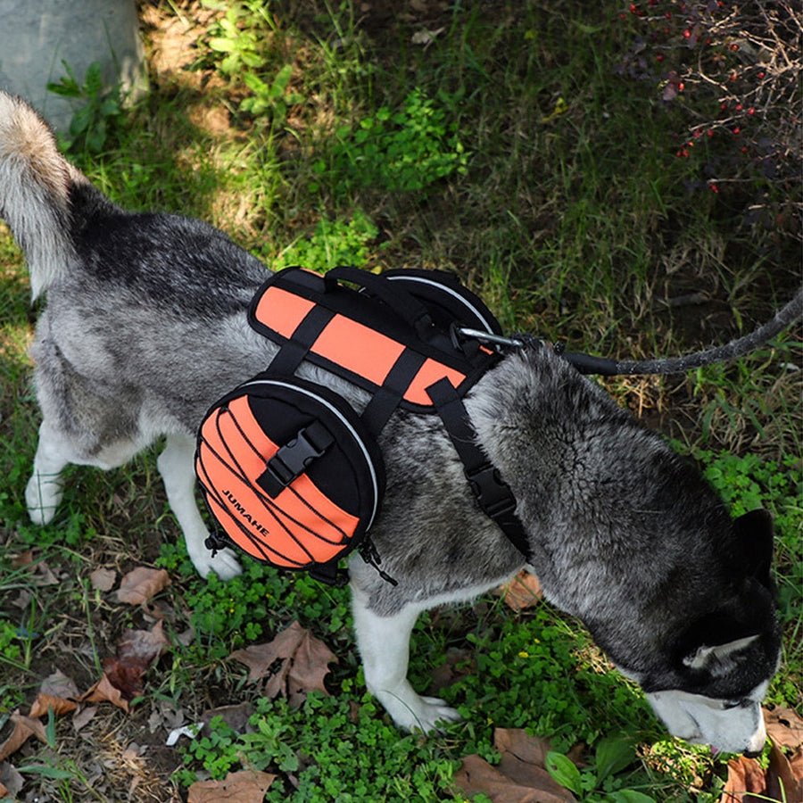 Double Slider Dog Tactical Harness