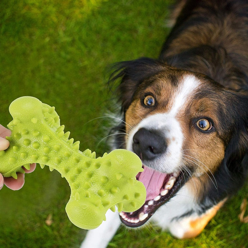 Improves Dental Hygiene Dog Chew Toy