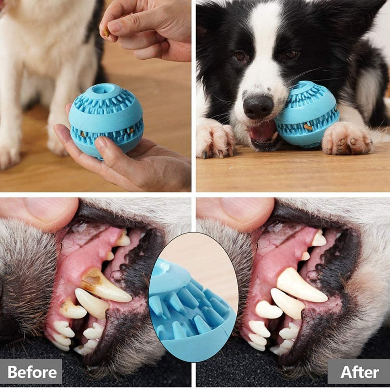 Natural Rubber Slow Feeding Dog Ball