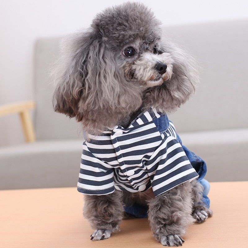 Fashion Stripe Denim Dog Pants