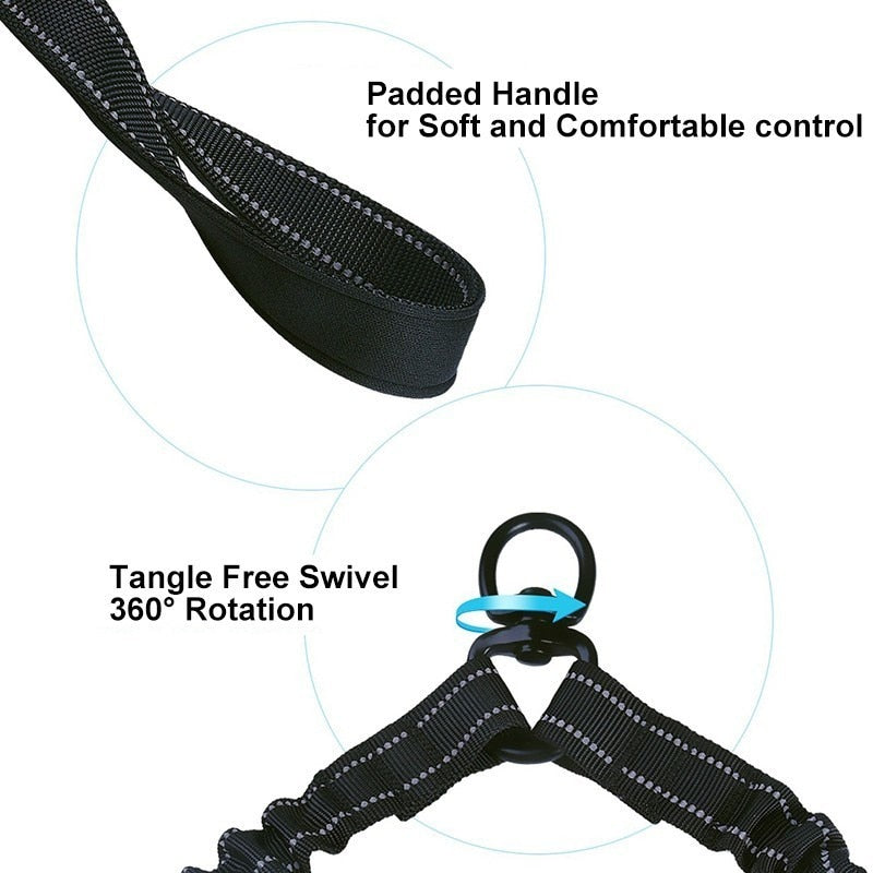 Premium Bungee Double Dog Leash