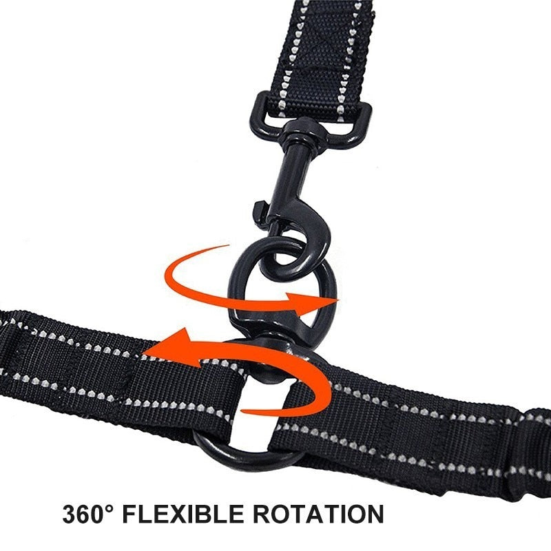 Premium Bungee Double Dog Leash