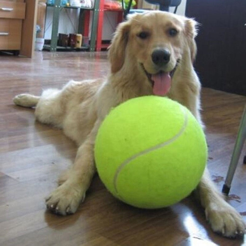 Dog Tennis Ball Toy