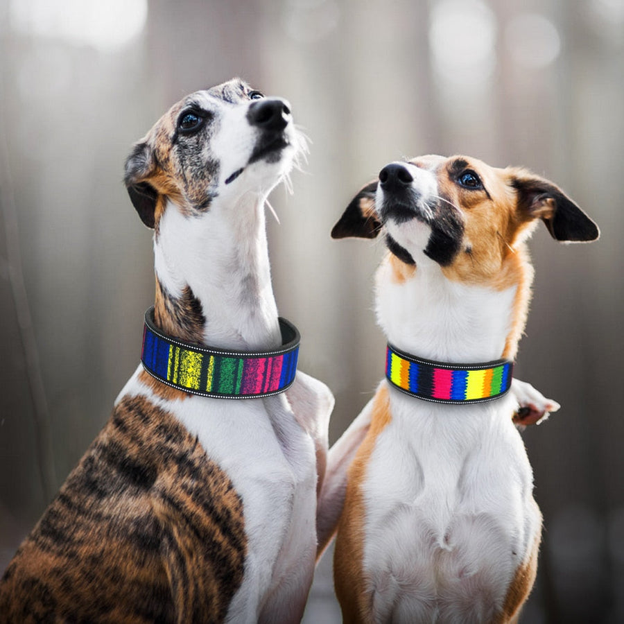 Breathable Padded Striped Dog Collar