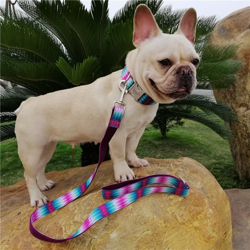 The Glorious Dog Collar And Leash Set