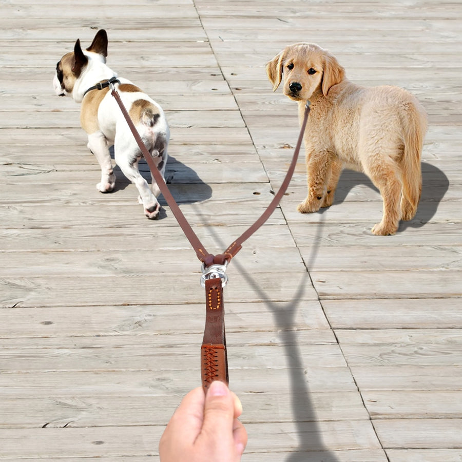 2 Ways Leather Dog Leash