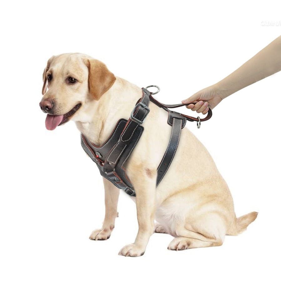 Genuine Leather Large Dogs Harness