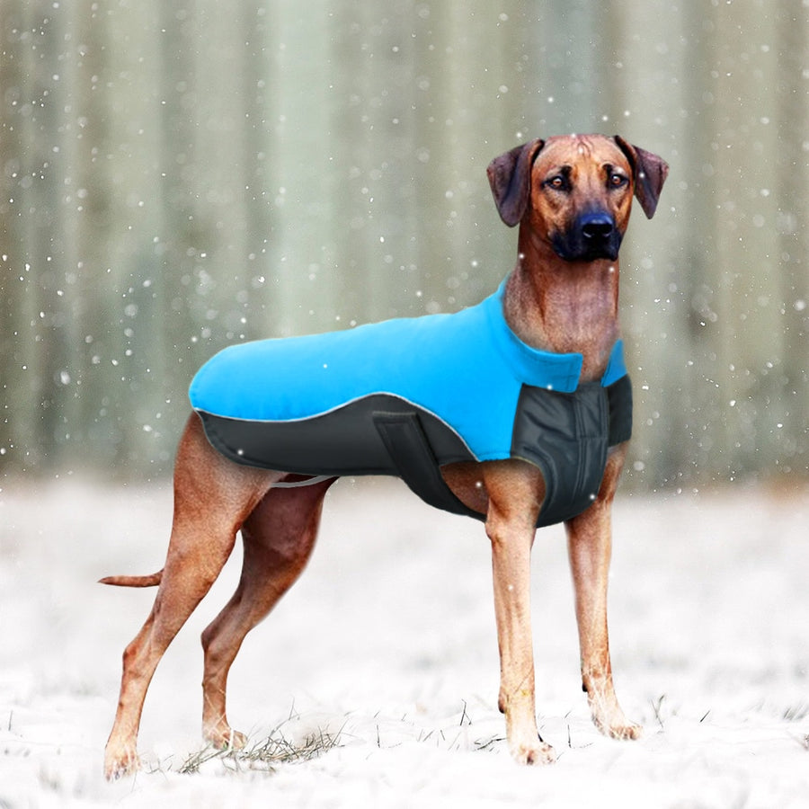 Blue Waterproof Dog Winter Coat