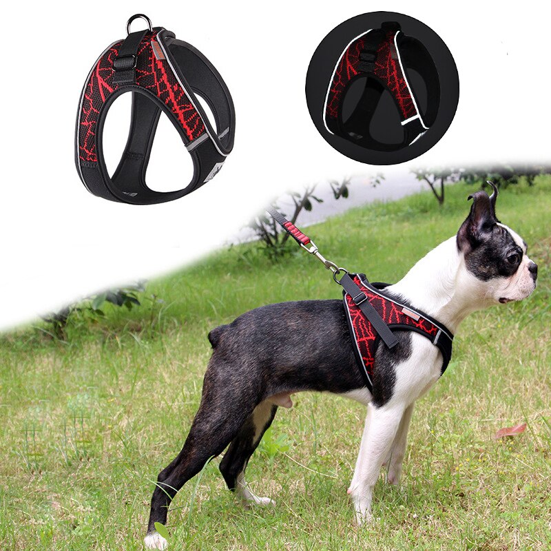 Flying Woven Dog Harness