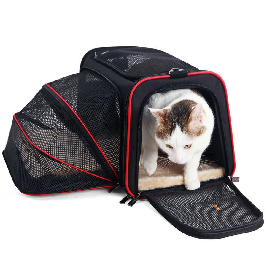 2 Sides Expandable Pet Carrier