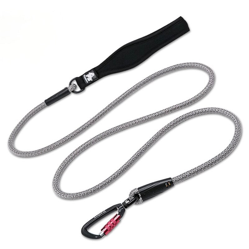 Reflective Aluminum Alloy D-Ring Dog Leash