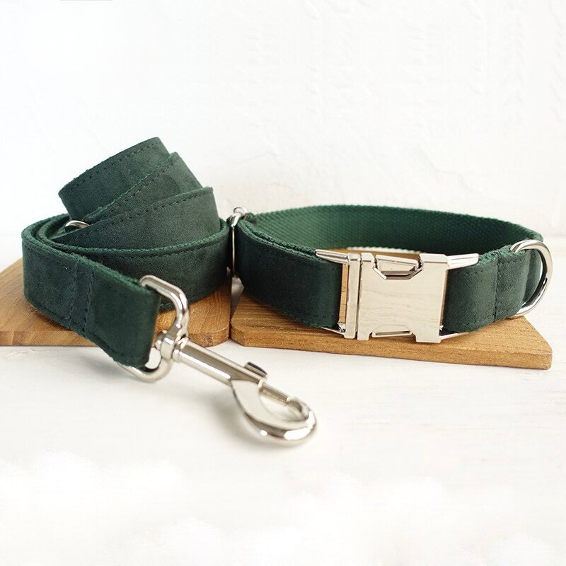 The Green Day Luxury Dog Collar Set