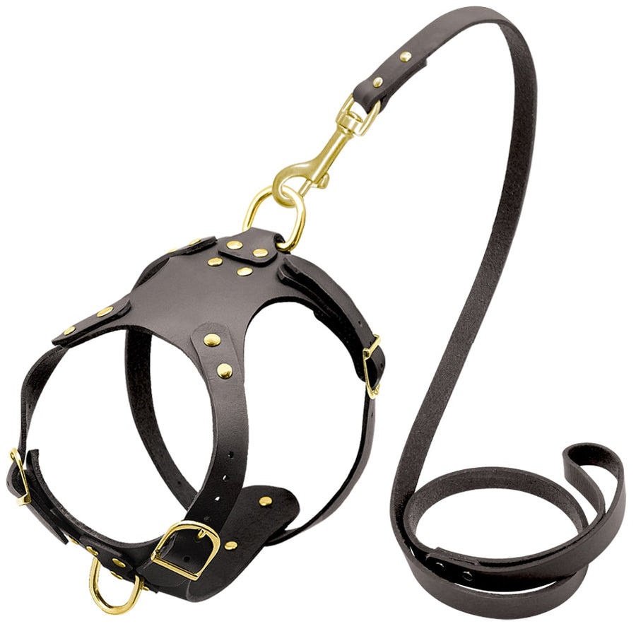 Genuine Leather Beagle Dog Harness