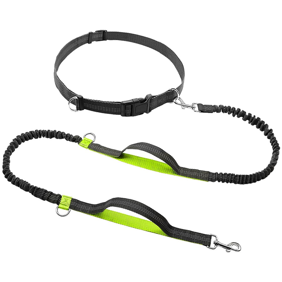 Nylon Hands Free Bungee Dog Leash